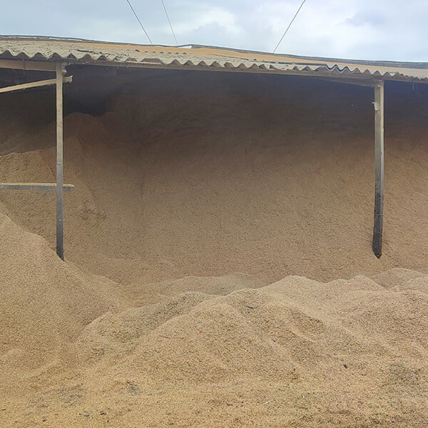 Ricehusk